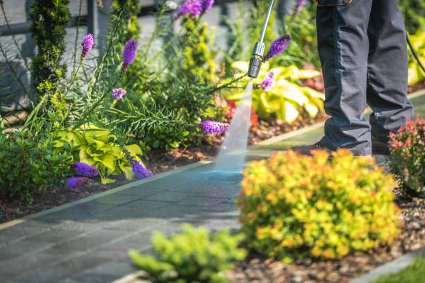 Spring Cleaning in Emmitsburg, MD